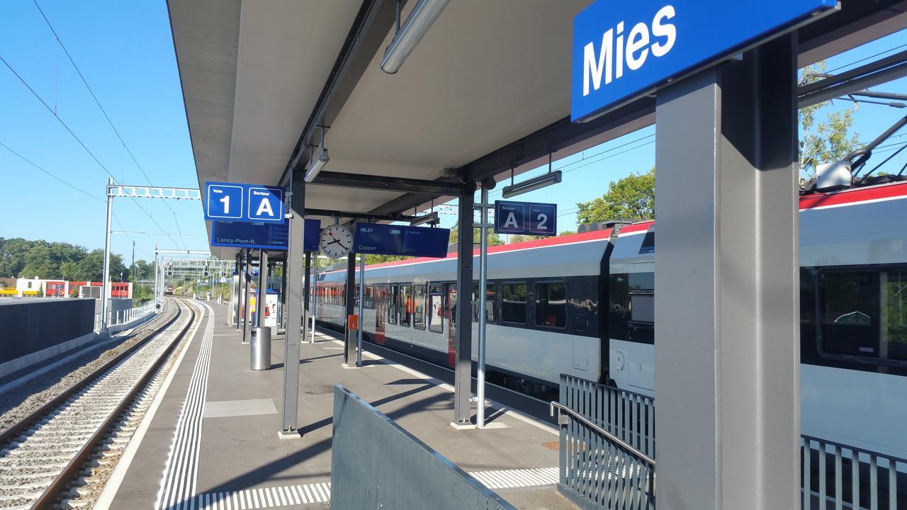 Bnb "Les Coquelicots" Mies エクステリア 写真